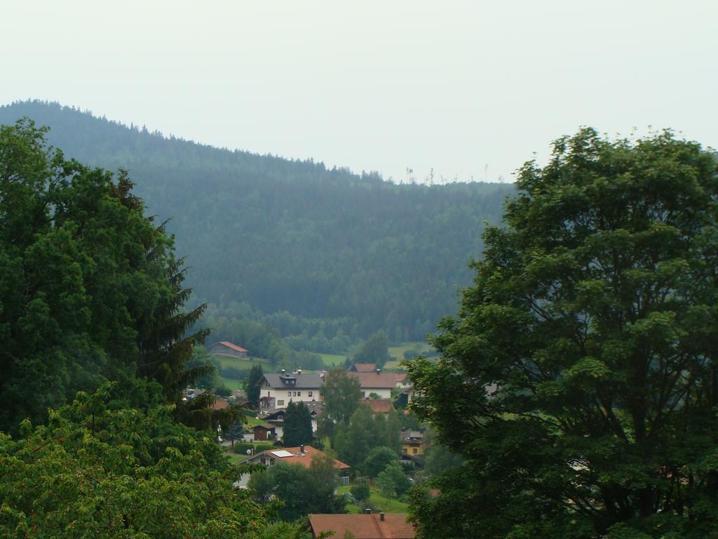 Drei Tannen Hotell Bodenmais Exteriör bild