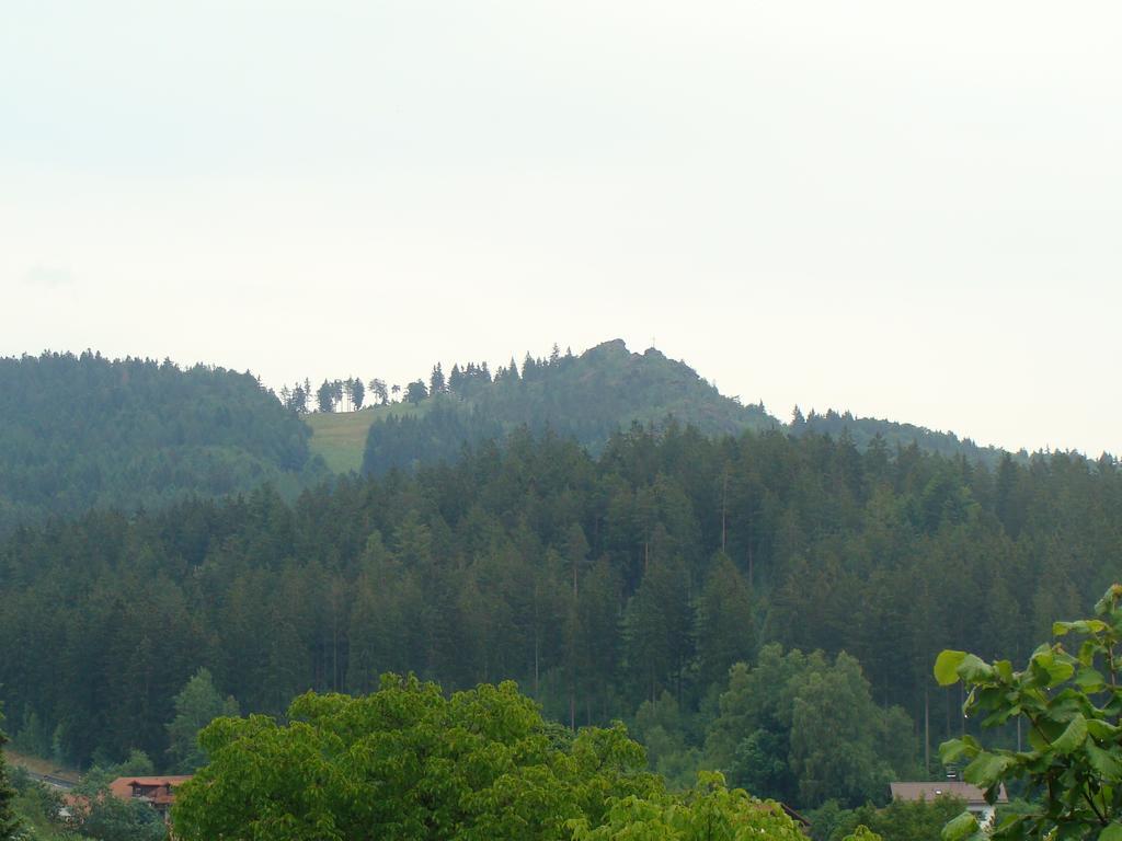 Drei Tannen Hotell Bodenmais Exteriör bild