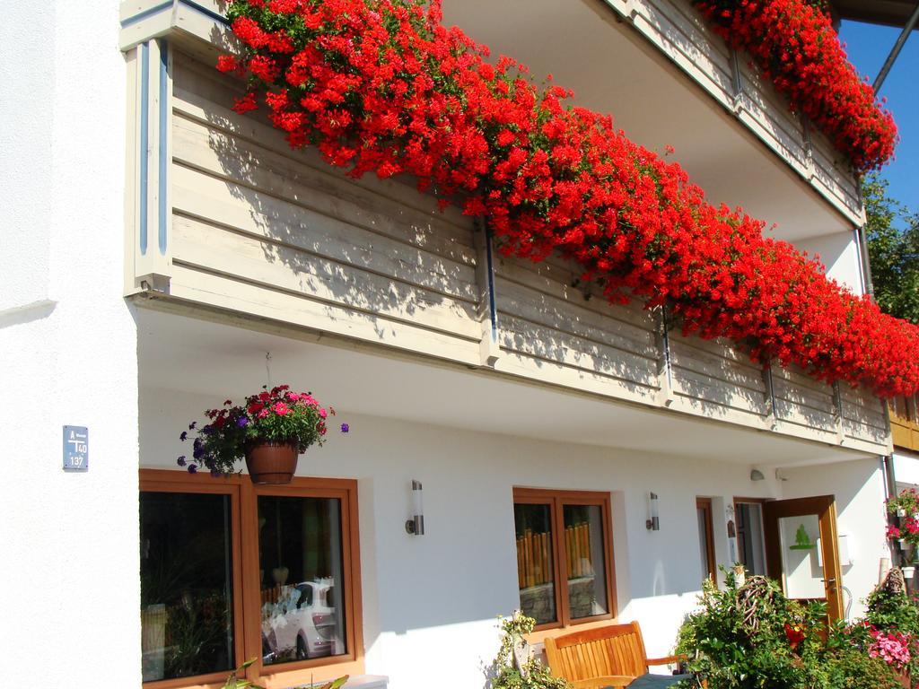 Drei Tannen Hotell Bodenmais Exteriör bild