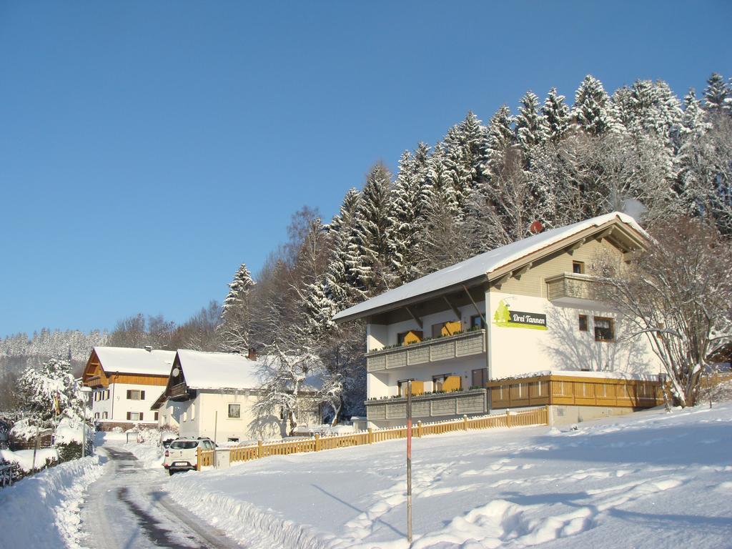 Drei Tannen Hotell Bodenmais Exteriör bild