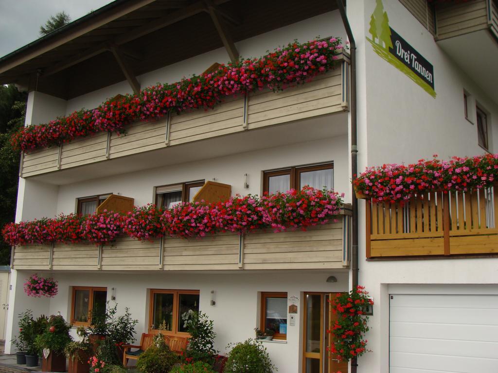 Drei Tannen Hotell Bodenmais Exteriör bild
