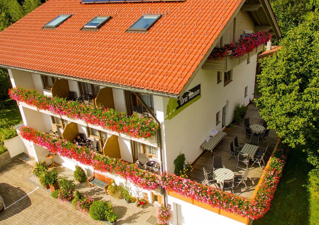 Drei Tannen Hotell Bodenmais Exteriör bild
