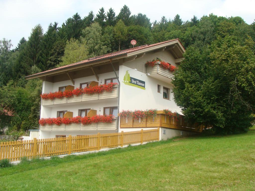 Drei Tannen Hotell Bodenmais Exteriör bild